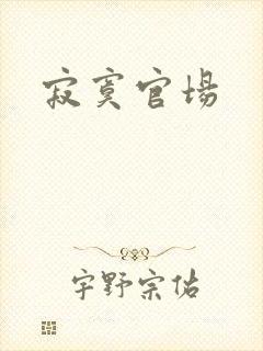 寂寞官场