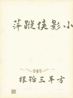 萍踪侠影小说