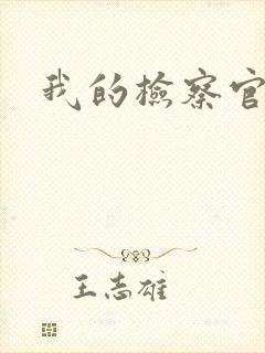 我的检察官先生
