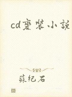 cd变装小说