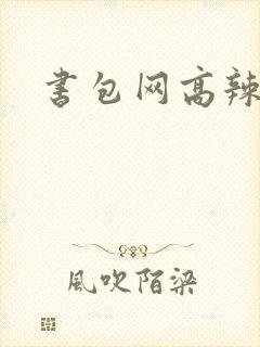 书包网高辣文
