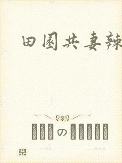 田园共妻辣