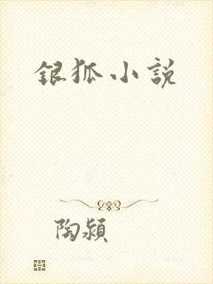 银狐小说