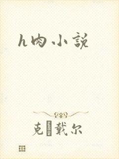 h肉小说