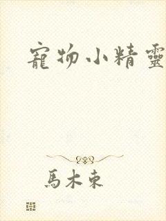 宠物小精灵漫画封面