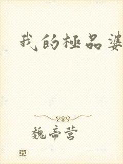 我的极品婆婆