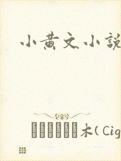 小黄文小说封面