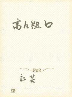 高h粗口