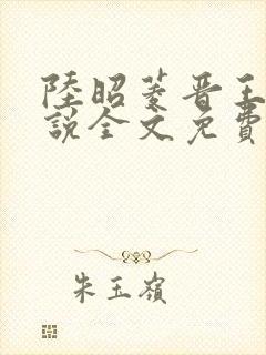 陆昭菱晋王的小说全文免费阅读