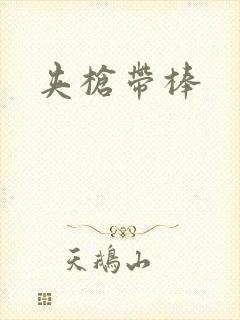 夹枪带棒