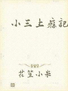 小三上瘾记封面