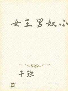 女王男奴小说