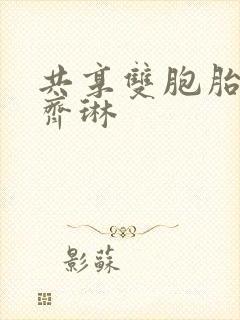 共享双胞胎齐娜齐琳封面