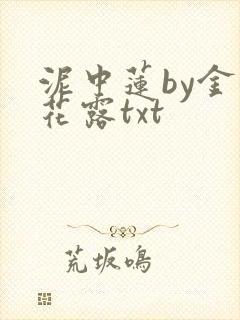泥中莲by金银花露txt封面