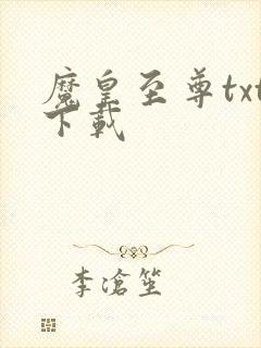 魔皇至尊txt下载封面