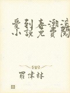 爱到春潮滚滚来小说免费阅读