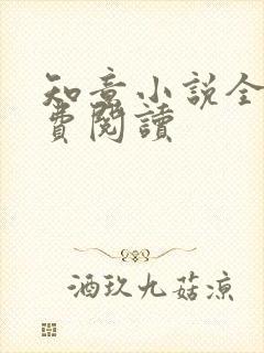 知意小说全文免费阅读封面