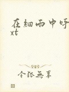 在细雨中呼喊txt