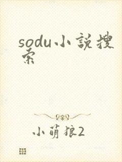 sodu小说搜索