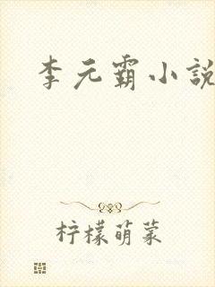 李元霸小说