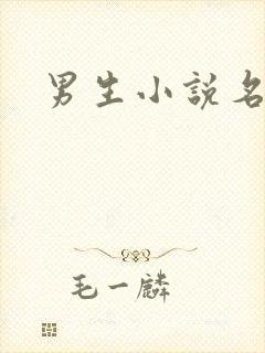 男生小说名字