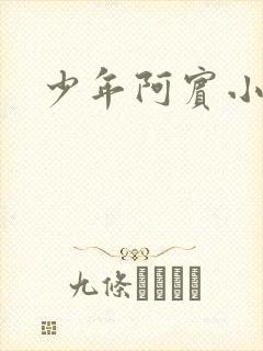 少年阿宾小说封面