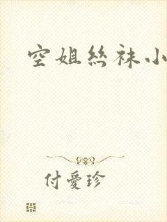 空姐丝袜小说