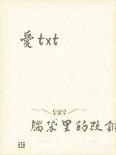 爱txt封面