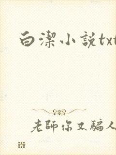 白洁小说txt