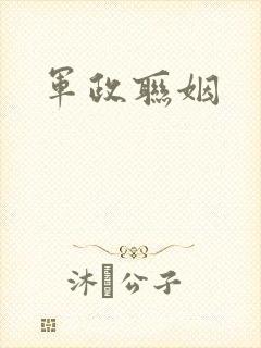 军政联姻封面
