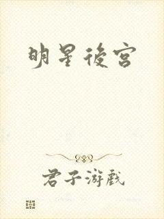 明星后宫封面