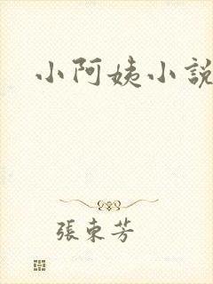 小阿姨小说封面