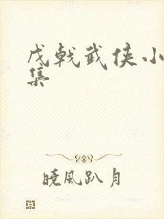 戊戟武侠小说全集封面