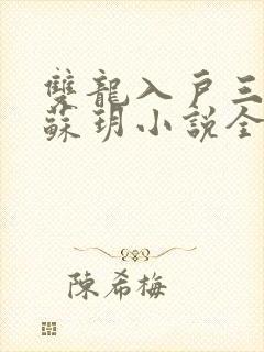 双龙入户三人行苏玥小说全文阅读