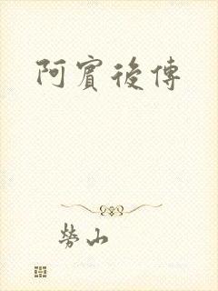 阿宾后传封面