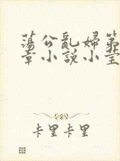荡公乱妇第51章小说小莹