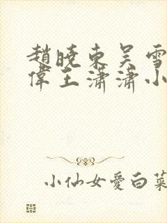 赵晓东吴雪晴郑伟王潇潇小说