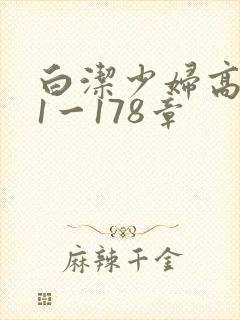 白洁少妇高义第1一178章