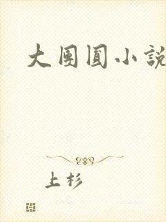 大团圆小说