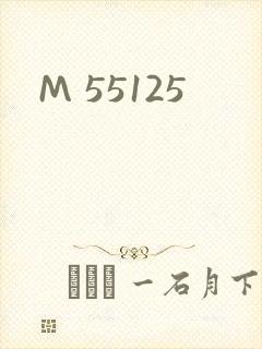 M 55125封面