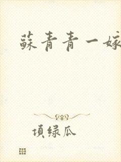 苏青青一嫁三夫封面