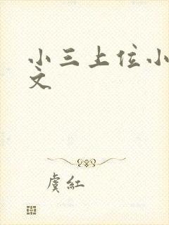 小三上位小说全文