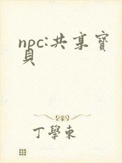 npc:共享宝贝
