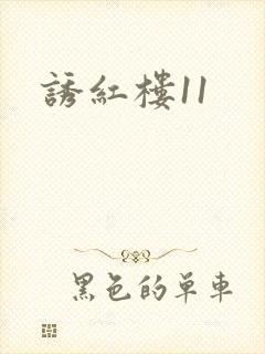 诱红楼11封面