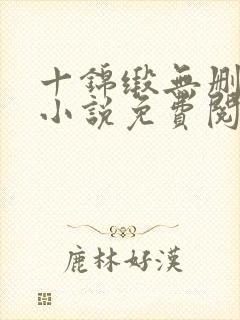 十锦缎无删原著小说免费阅读