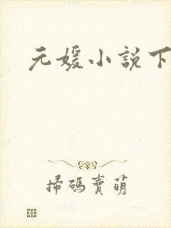 元媛小说下载