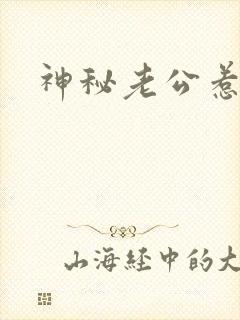 神秘老公惹不起