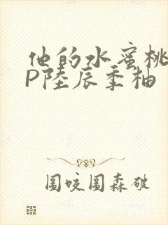 他的水蜜桃POP陆辰季柚