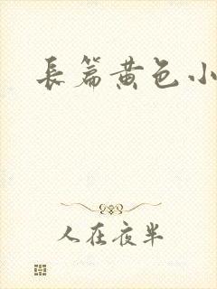 长篇黄色小说