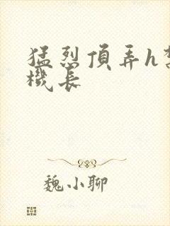 猛烈顶弄h禁欲机长